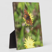 Plaque Photo Butterfly (Côté)