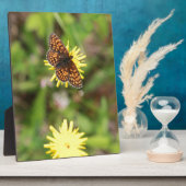 Plaque Photo Butterfly (Côté)