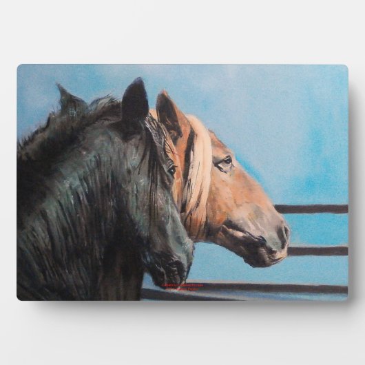 Plaque Photo Caballos/Cabalos/Chevaux (Devant)