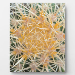 Plaque Photo Cactus