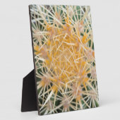 Plaque Photo Cactus (Côté)
