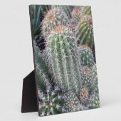 Plaque Photo Cactus (Côté)