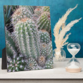 Plaque Photo Cactus (Côté)