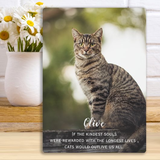 Plaque Photo Cadeau commémoratif pour chat - Souvenir de perte 