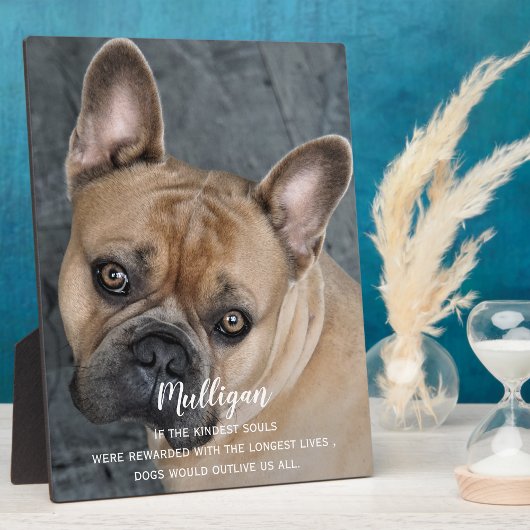 Plaque Photo Cadeau de mémorial de chien - Souvenir de perte d'