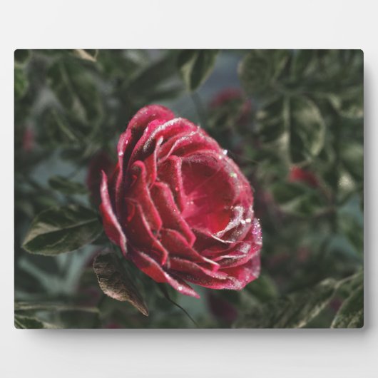 Plaque photo cadeau de parting d'hiver (Devant)