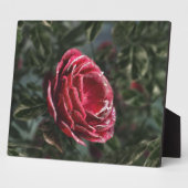 Plaque photo cadeau de parting d'hiver (Côté)