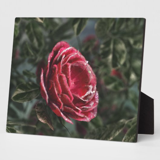 Plaque photo cadeau de parting d'hiver (Côté)