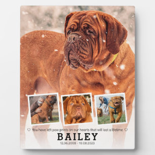 Plaque Photo Cadeau de souvenir - Collage de 4 photos pour chie