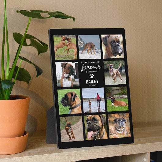 Plaque Photo Cadeau de souvenir d'animal de compagnie | Photo e