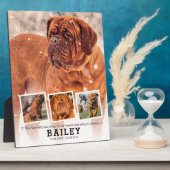 Plaque Photo Cadeau de souvenir de compagnie - Collage de 4 pho (Côté)