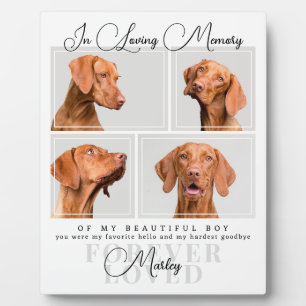 Plaque Photo Cadeau de sympathie pour perte d'animal de compagn