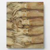 Plaque Photo Calamari (Devant)