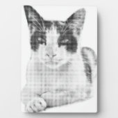 Plaque Photo Calico Pop Halftone (Devant)