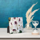 Plaque Photo Calsap Rhododendrons (Insitu)