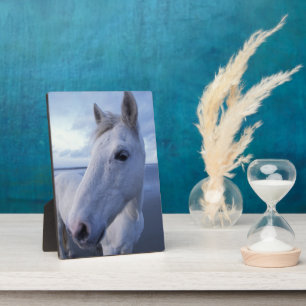 Plaque Photo Camargue Horse