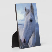 Plaque Photo Camargue Horse (Côté)