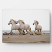 Plaque Photo Camargue Horses courir sur la plage (Devant)
