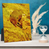 Plaque Photo Canal en flux (Côté)