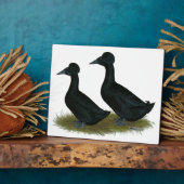 Plaque Photo Canards : Black Crested (Côté)