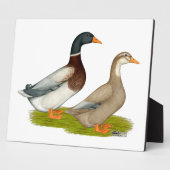 Plaque Photo Canards de Saxe (Côté)