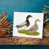 Plaque Photo Canards de Saxe (Côté)