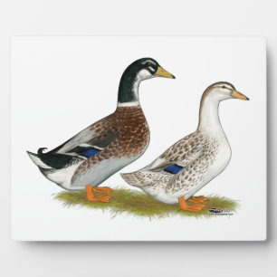 Plaque Photo Canards : Joyeuse Argent