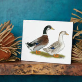 Plaque Photo Canards : Joyeuse Argent (Côté)