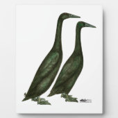 Plaque Photo Canards noirs (Devant)