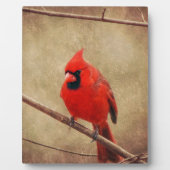 Plaque Photo Cardinal (Devant)