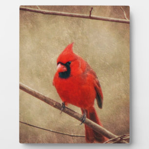 Plaque Photo Cardinal