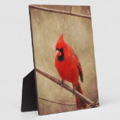 Plaque Photo Cardinal (Côté)