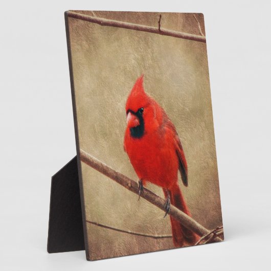Plaque Photo Cardinal (Côté)