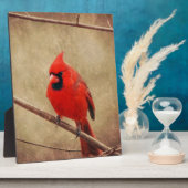Plaque Photo Cardinal (Côté)
