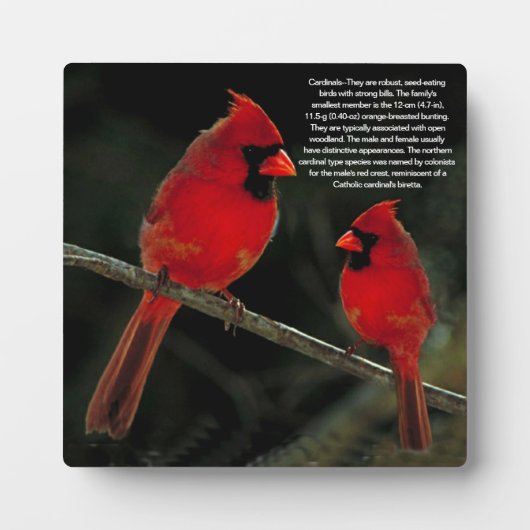 PLAQUE PHOTO CARDINAL (Devant)