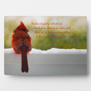 Plaque Photo Cardinal avec Vistior from Heaven poem