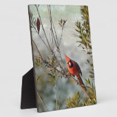 Plaque Photo Cardinal de Wax Myrtle (Côté)