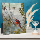 Plaque Photo Cardinal de Wax Myrtle (Côté)