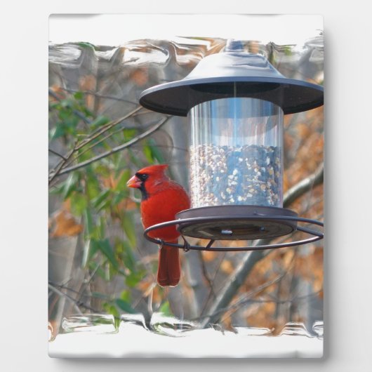 Plaque Photo Cardinal masculin (Devant)