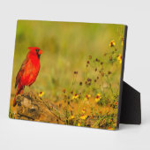 Plaque Photo Cardinal masculin sur le journal (Côté)