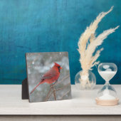 Plaque Photo Cardinal rouge dans la neige (Insitu)