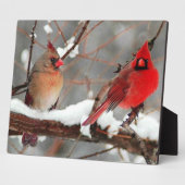 Plaque Photo cardinaux hommes et femmes (Côté)