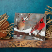 Plaque Photo cardinaux hommes et femmes (Côté)