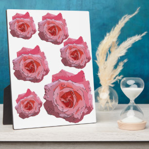 Plaque Photo Caricature rose. RosaCartoonus.
