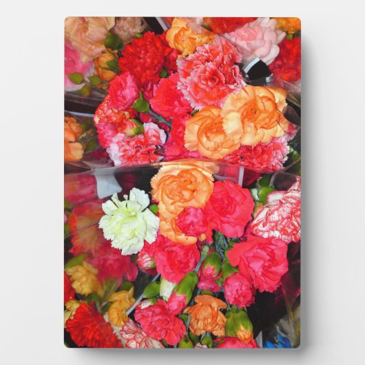 Plaque photo Carnation Flower Mix (Devant)