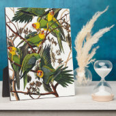 Plaque Photo Carolina Parrot - John James Audubon (1827-1838) (Côté)
