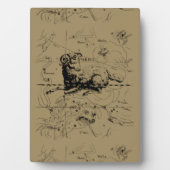 Plaque Photo Carte de constellation vintage du Bélier Hevelius  (Devant)