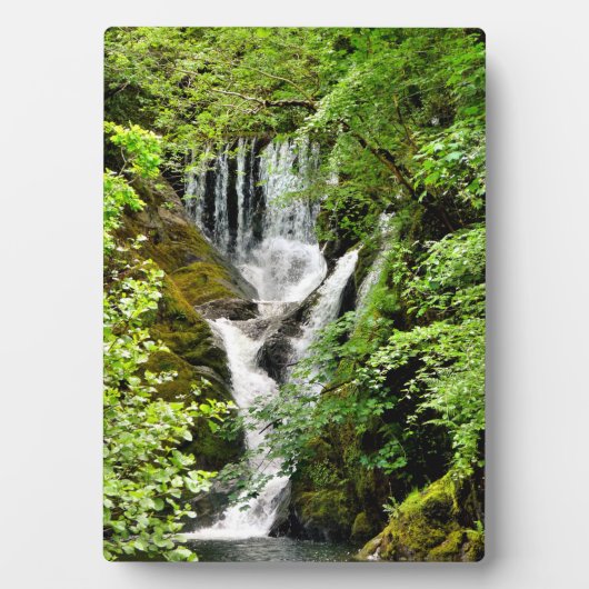 PLAQUE PHOTO CASCADE (Devant)