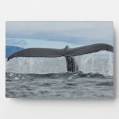 Plaque Photo Cascade (Devant)