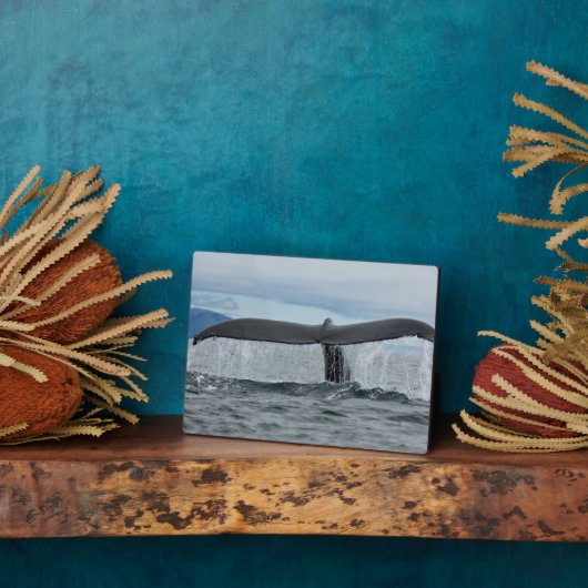 Plaque Photo Cascade (Côté)